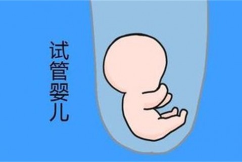 http://yantai.vdtfzz.com/post/194.html|烟台新闻中心
