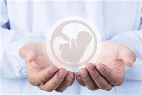 http://yantai.vdtfzz.com/post/214.html|烟台人工试管